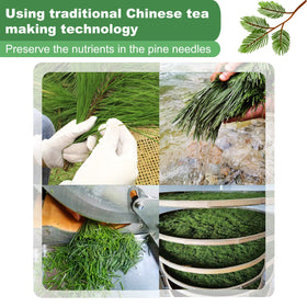 Kasvan tea storage in fridge shown for long-lasting freshness and flavor.