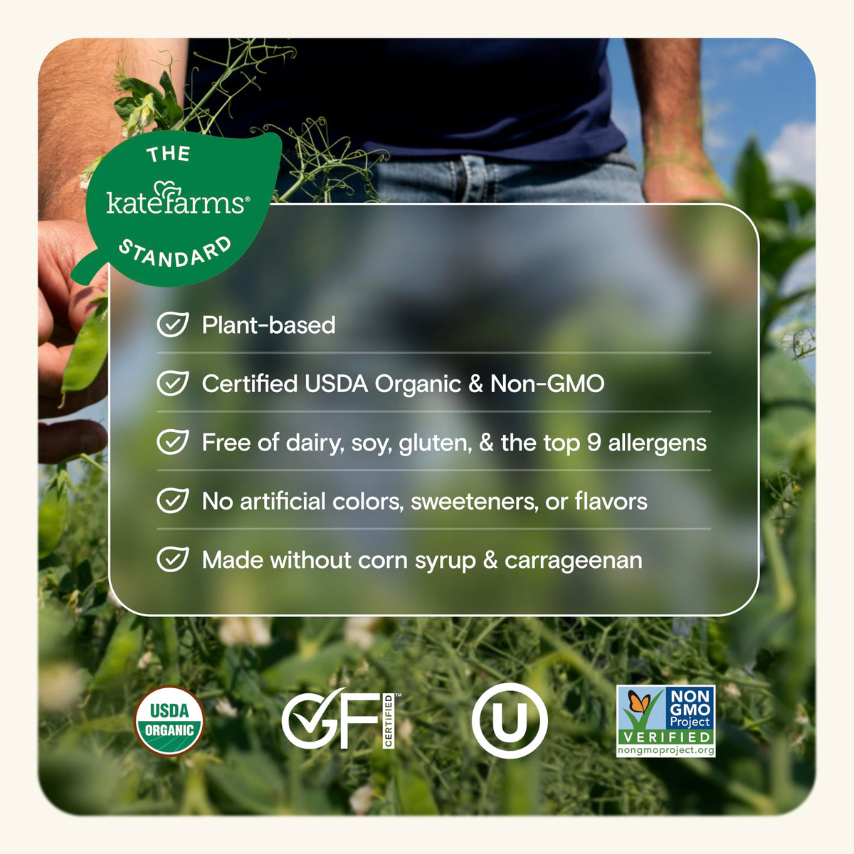 Kate Farms organic pea protein ingredients bowl shows nutrient-rich plant blend.