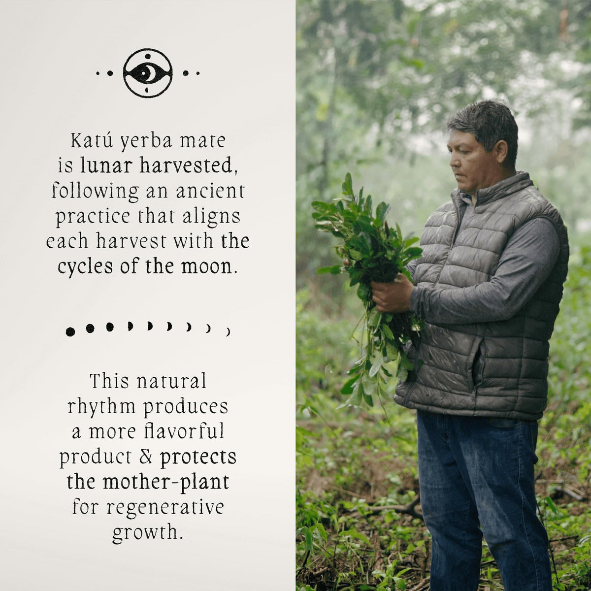 KATÚ Ka’a versatile brewing methods for any setup.