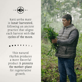 KATÚ Ka’a versatile brewing methods for any setup.