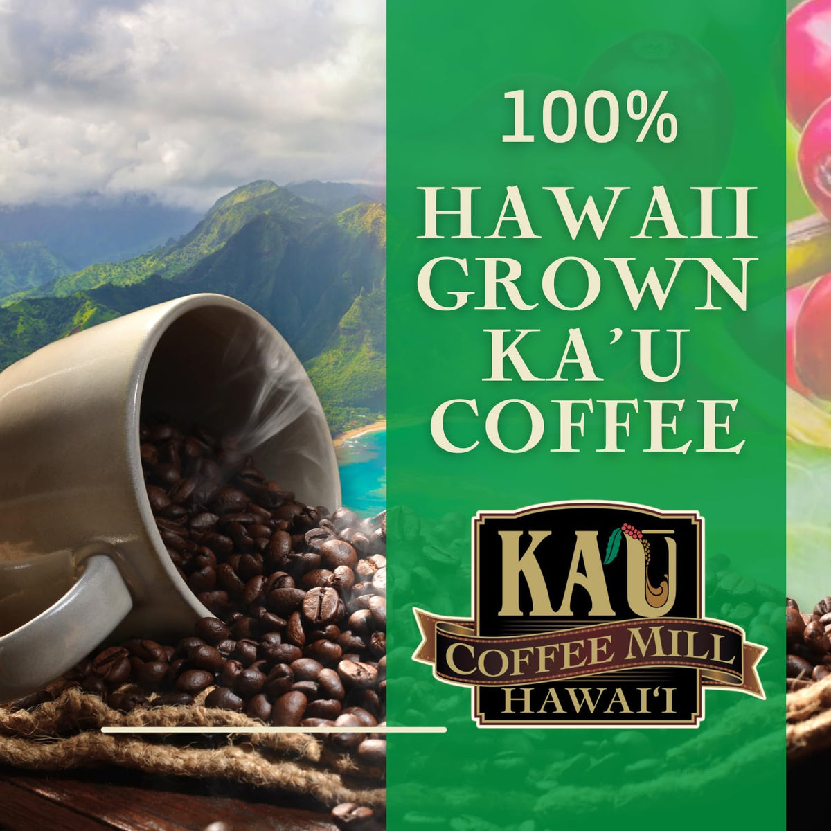 KA`U COFFEE MILL HAWAI`I fruity-notes cup highlights vibrant, nuanced flavors