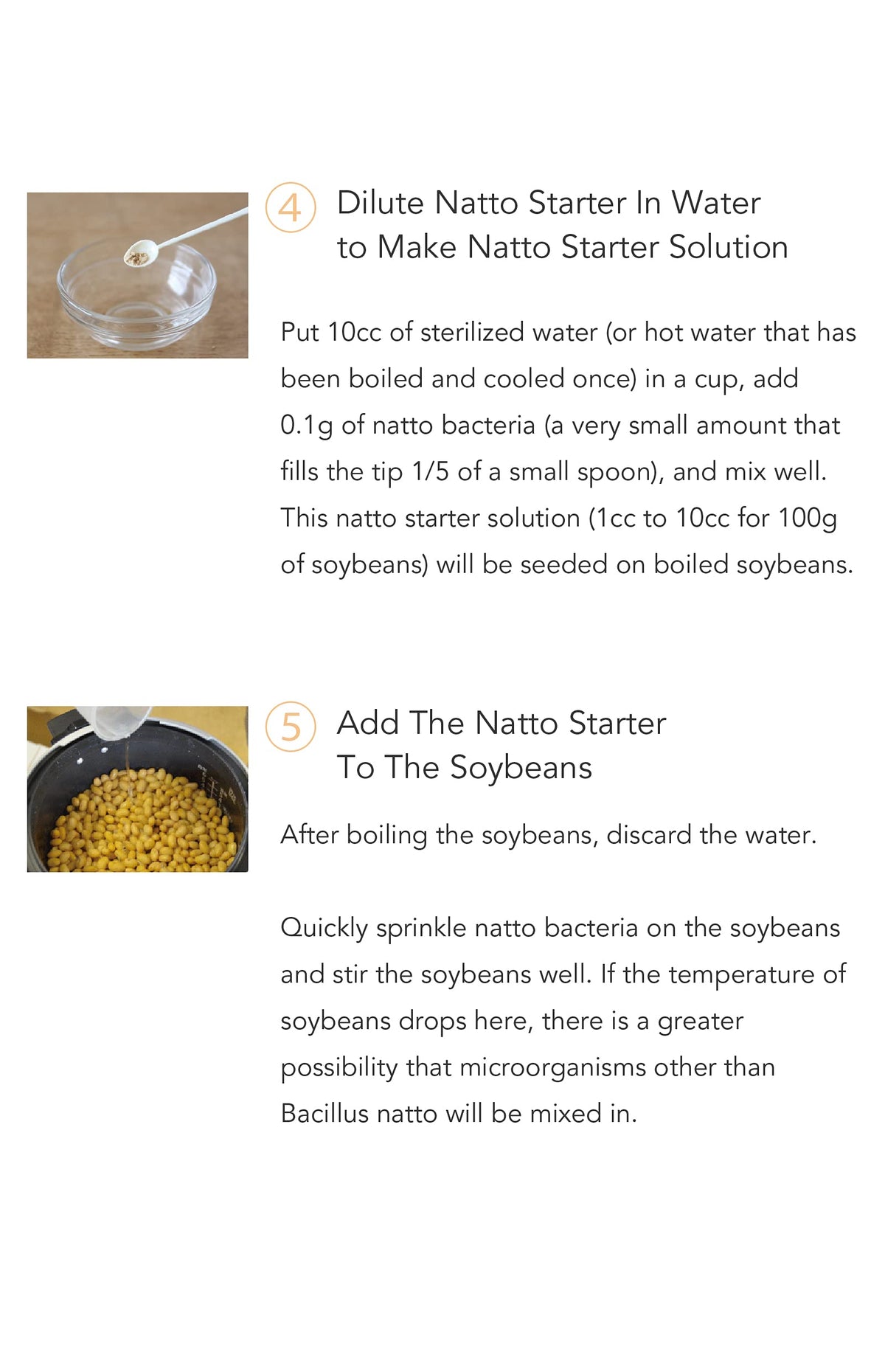 Home natto setup featuring Kawashimaya starter for kitchen-scale culture