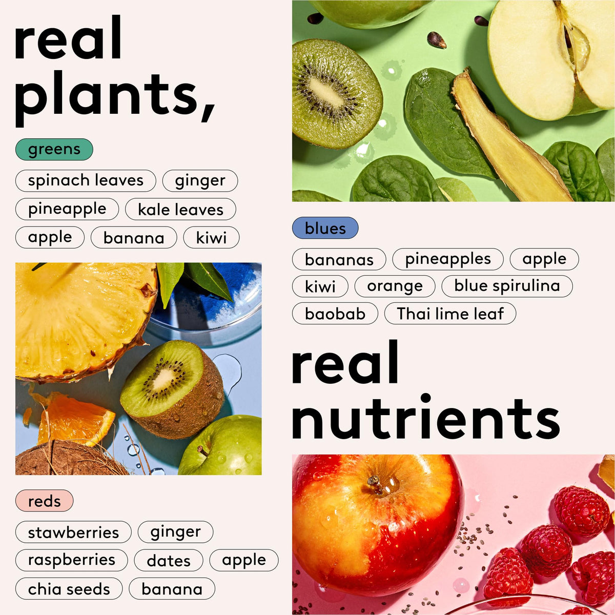 kencko ingredients detail shows real produce preserved for quick nutrition