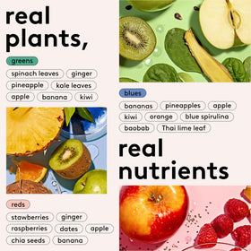 kencko ingredients detail shows real produce preserved for quick nutrition