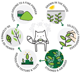 Kenko Tea Matcha USDA Organic seal indicating non-GMO and gluten-free quality.