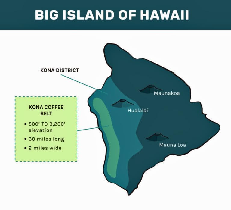 Keokea Coffee Co sunrise harvest process illustrating farm-to-cup journey.
