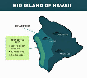 Keokea Kona barista pour demonstrates consistent extraction and flavor potential.