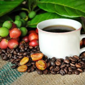 Keokea Coffee kona-harvest-slopes captures hillside origin and authentic Hawaiian flavor profile.