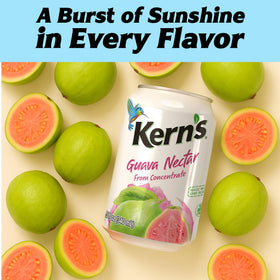 Kern's Guava Nectar in kids lunchbox for a fruity treat