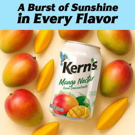 Kern's Mango Nectar 24-pack on pantry shelf for easy refreshment.