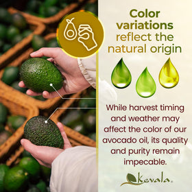 Kevala Avocado Oil applied to skin for a lightweight moisturiser and carrier oil use.