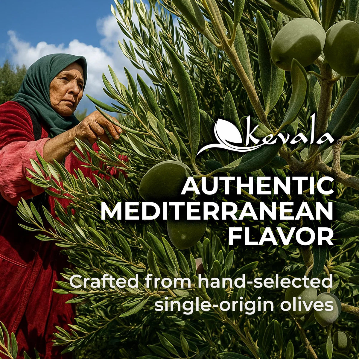 Kevala olive oil pan sauté highlighting versatility for vegetables and proteins