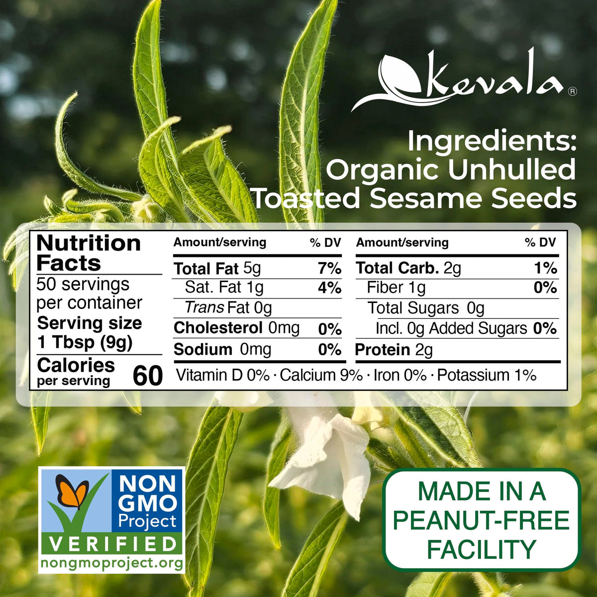 Kevala organic sesame seeds closeup crunch ideal for topping bowls and snacks.