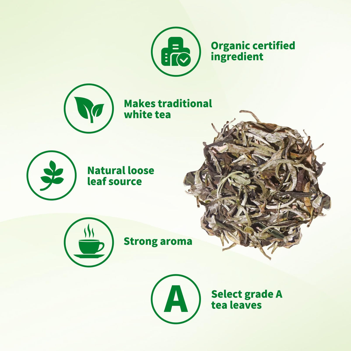 KHS Grade A white tea leaves display premium quality and bold aroma.