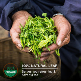 KHS Spring-picked white tea buds for vibrant aroma in a cup.