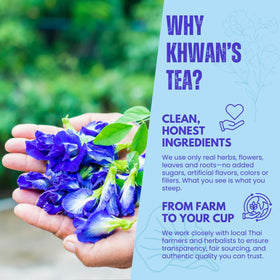 Thai-grown butterfly pea field with Khwan's Tea branding appears vibrant.