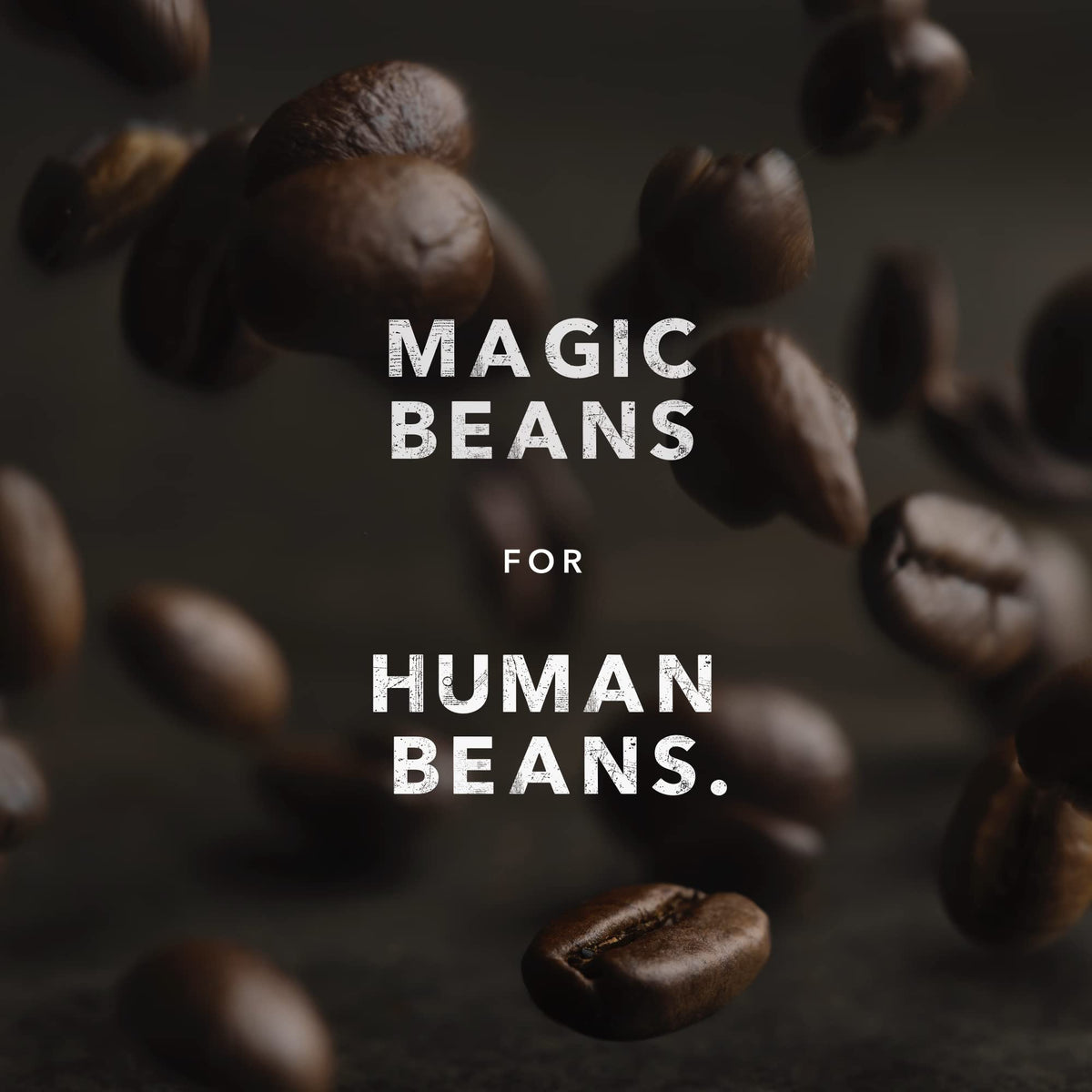 Kicking Horse Grizzly Claw organic Fairtrade Kosher certification highlights ethical sourcing.