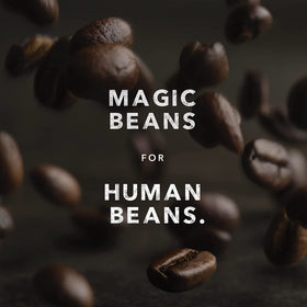 Kicking Horse organic, fairtrade, kosher Arabica coffee, shade-grown and responsibly produced.