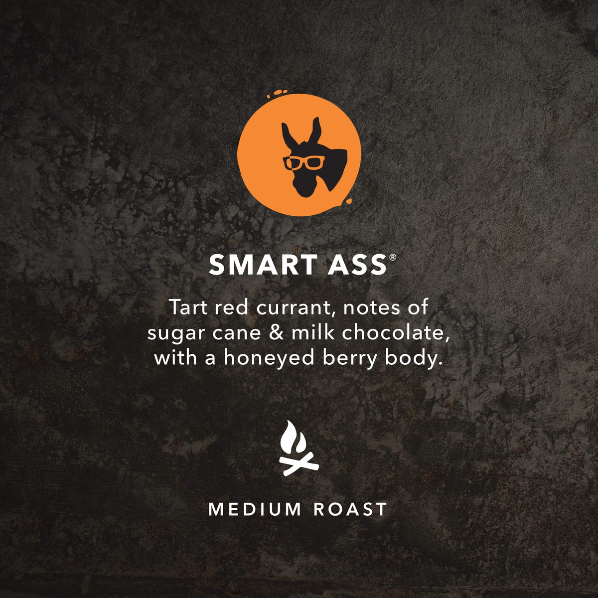 Kicking Horse Smart Ass, steaming cup, bright aroma enhances morning routine.