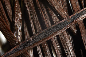 Sliced Kiddu vanilla bean pod with vibrant seeds for infusions and flavoring desserts.