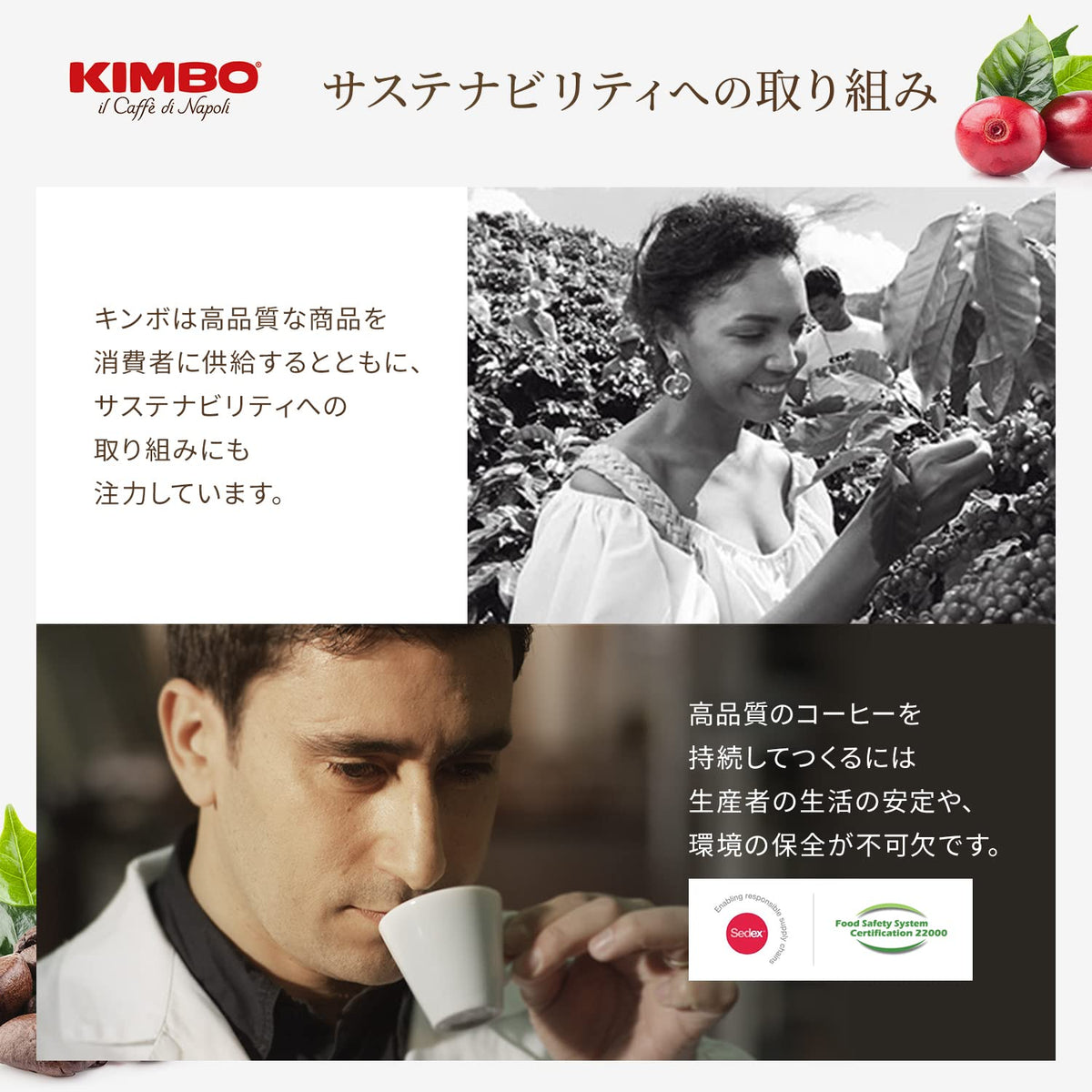 Kimbo Extra Cream espresso beans texture closeup, reveals rich oil and roast depth