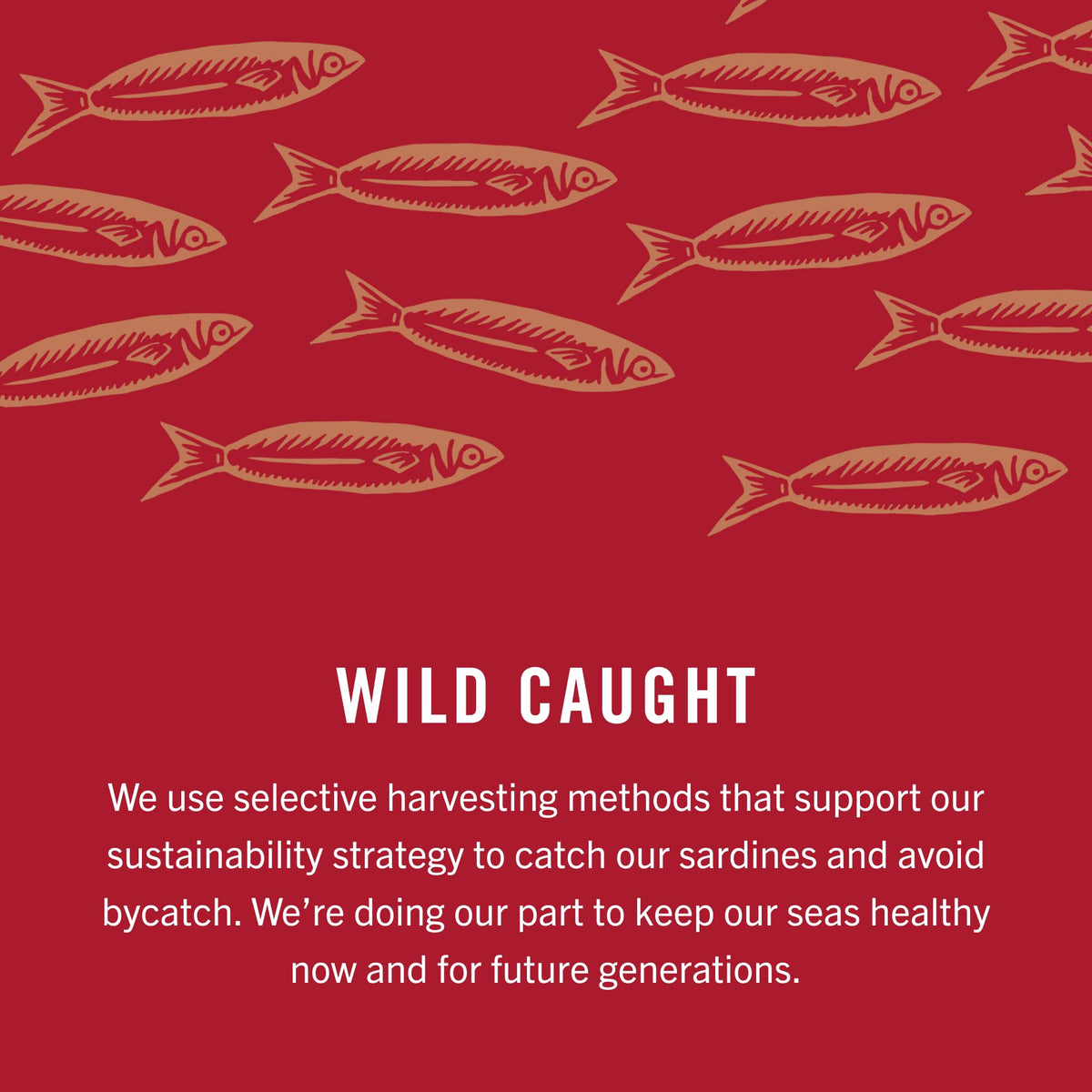 King Oscar sardines served on cracker demonstrating versatile serving idea.