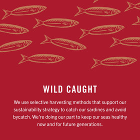 King Oscar sardines served on cracker demonstrating versatile serving idea.