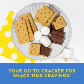 Close-up of Kinnikinnick S'moreables crackers showing crisp texture