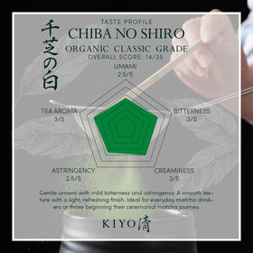 Kiyo Matcha Organic Classic Grade first-harvest leaves deliver bright, fresh flavor for ceremonial use.