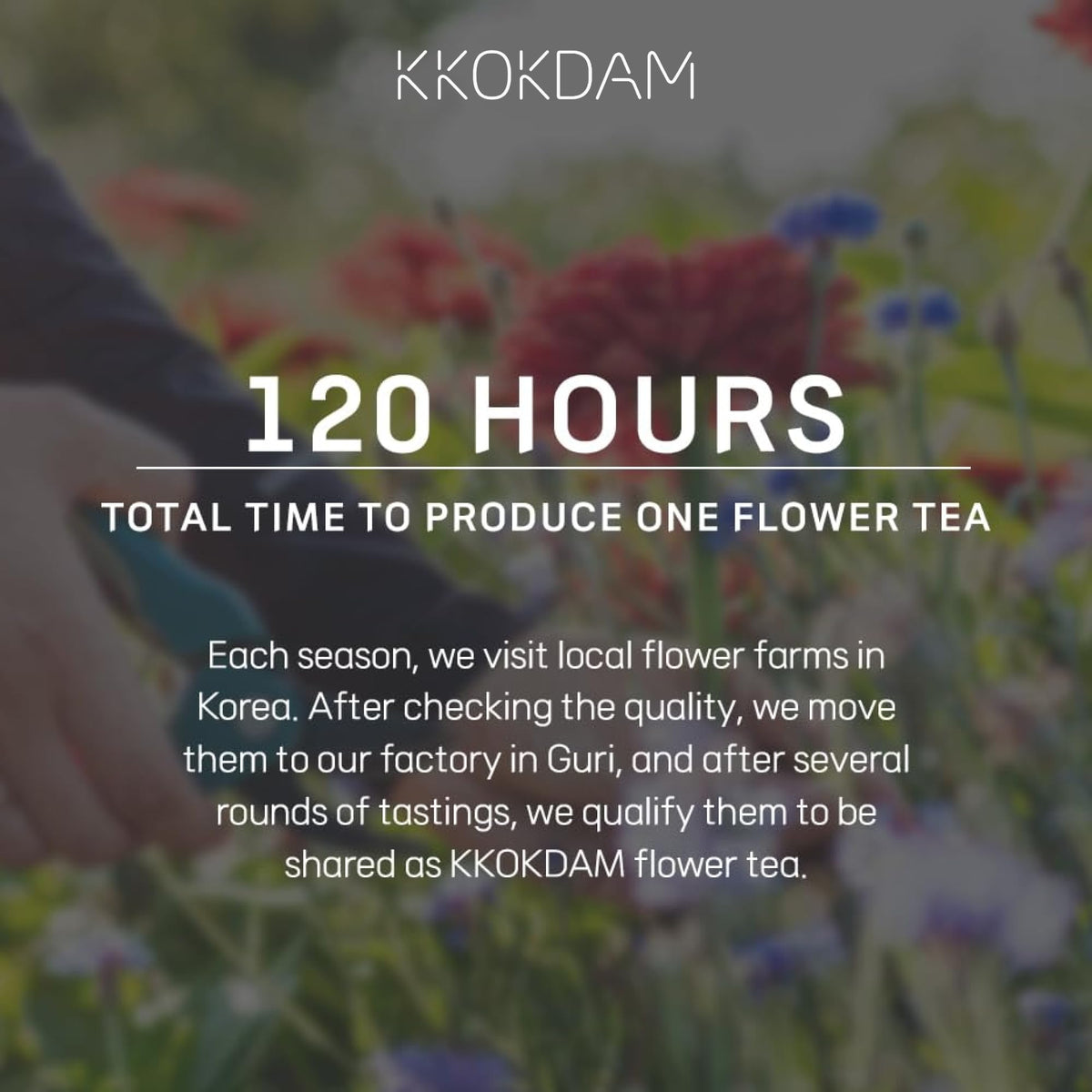 KKOKDAM label showing sugar free option and vibrant grapefruit hibiscus flavor