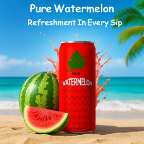 Knashi Watermelon juice 12-pack image, great for sharing and keeping hydrated.
