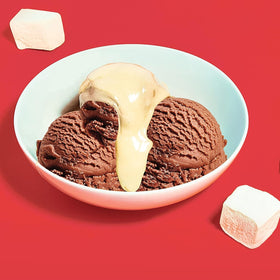 Know Brainer Max Mallow for s'mores, sugar-free and easy to bake.