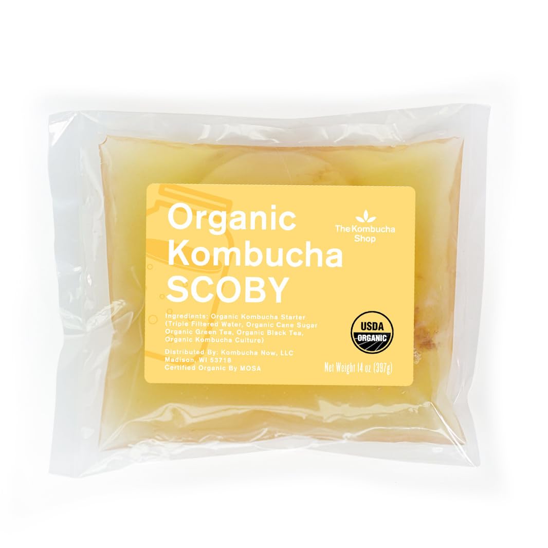 The Kombucha Shop scoby starter kit for easy at-home fermentation.