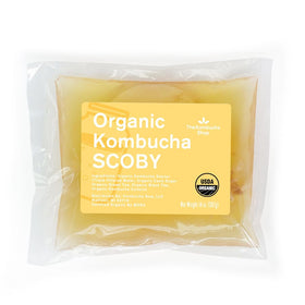 The Kombucha Shop scoby starter kit for easy at-home fermentation.