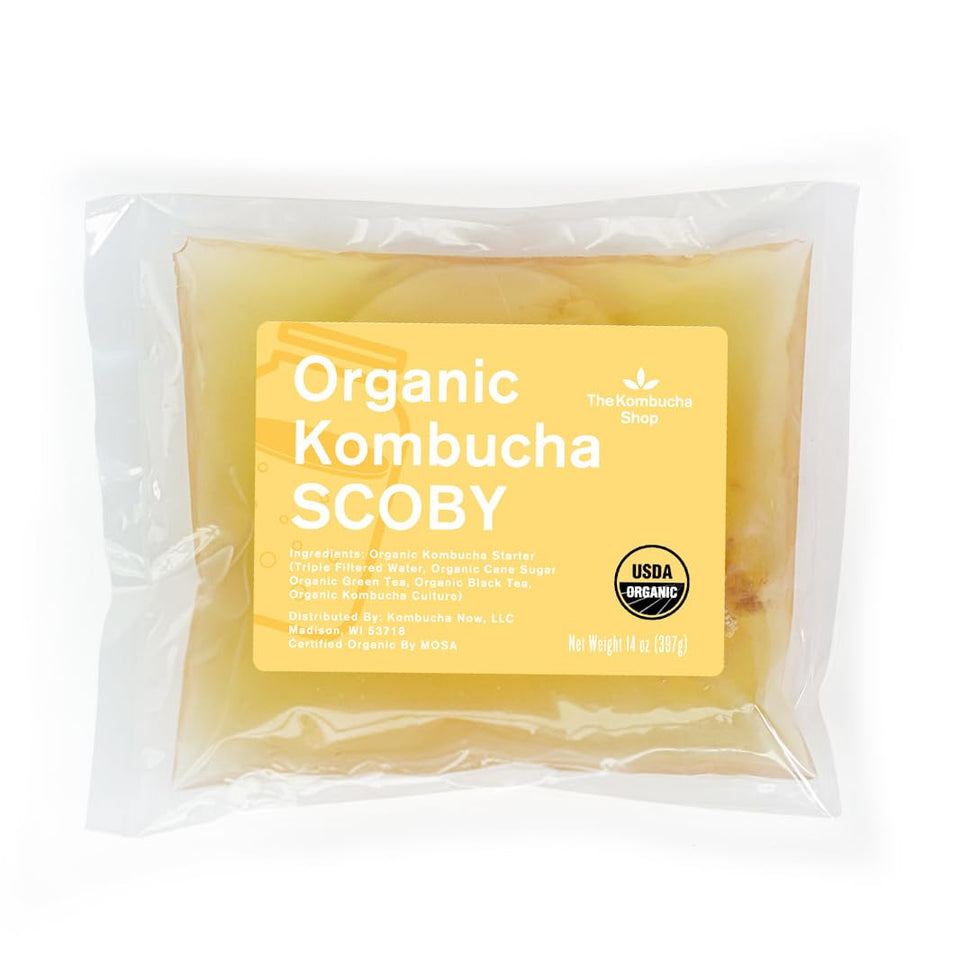The Kombucha Shop scoby starter kit for easy at-home fermentation.