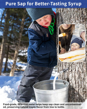 KOSOEUR maple tree tapping setup with minimal damage