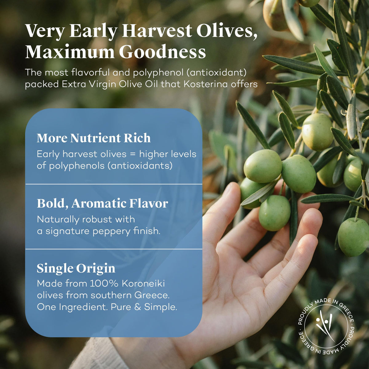Kosterina olive oil used in salad dressing for finishing touches.