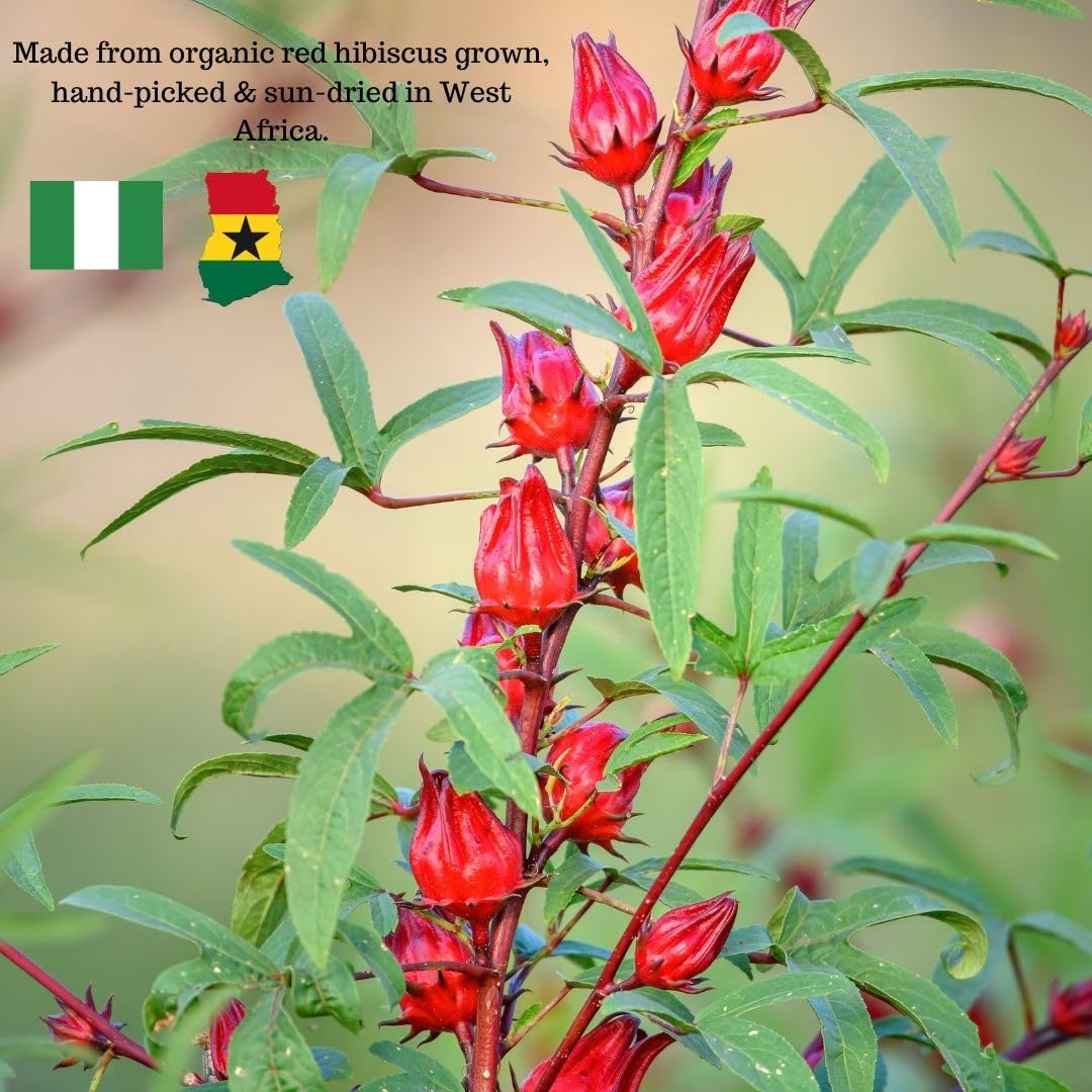 Kovafood Flor de Jamaica hibiscus for beverages and desserts