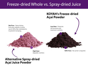 KOYAH processing shows freeze-drying preserves structure and nutrients.