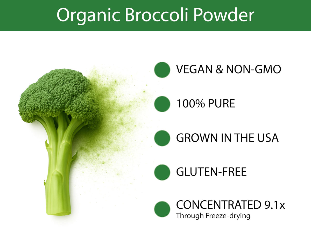 Close-up of freeze-dried broccoli powder texture ready to mix into recipes