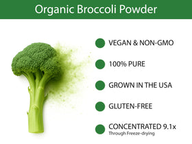Close-up of freeze-dried broccoli powder texture ready to mix into recipes