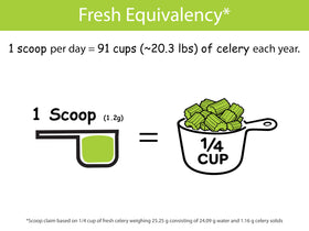 KOYAH Celery Powder dish demonstrates bright celery notes in salads and sautés