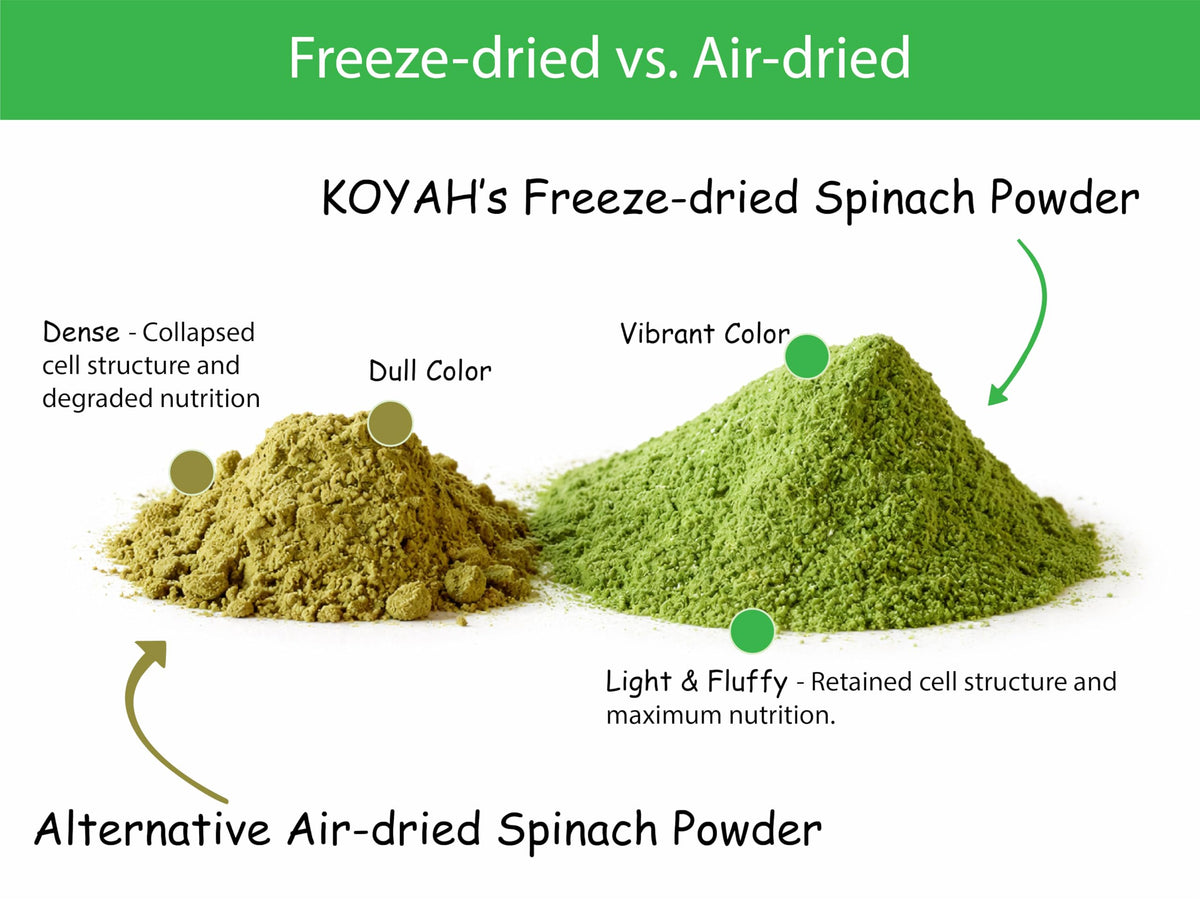 KOYAH Freeze-drying process scene preserving nutrients in spinach powder.