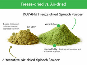 KOYAH Freeze-drying process scene preserving nutrients in spinach powder.