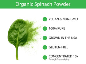 KOYAH Spinach Powder in smoothie glass, vibrant green color for everyday blends.