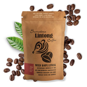 Ksu Pom Humbang Cooperative Wild Kopi Luwak beans show bold aroma for a morning wake-up