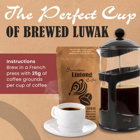 Ksu Pom Humbang Cooperative Wild Kopi Luwak brew steam emphasizing aroma-rich cup