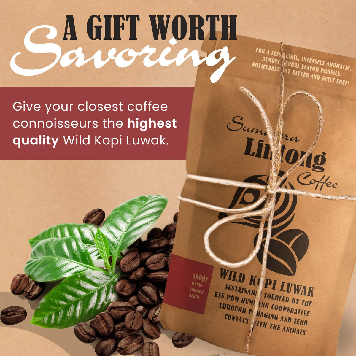 Ksu Pom Humbang Cooperative Wild Kopi Luwak gift-pack ready for a unique coffee gift