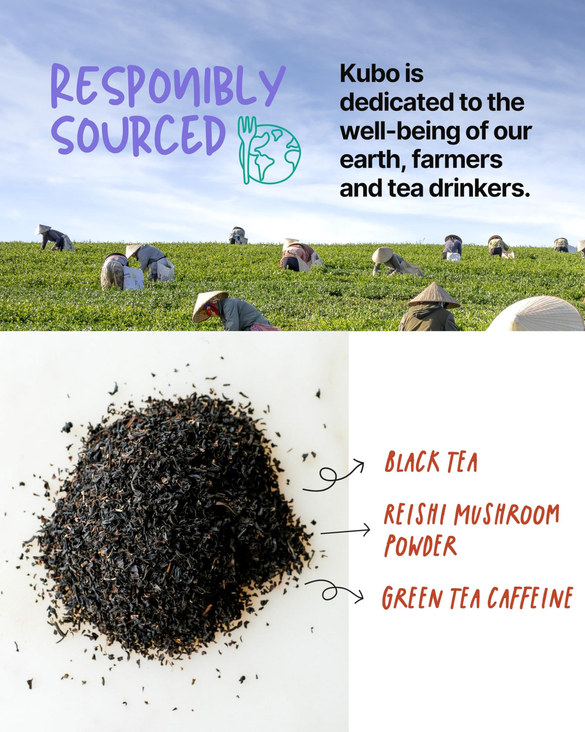 Kubo Tea brewed black tea in a cup with bold, rich aroma.