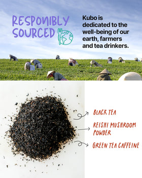 Kubo Tea brewed black tea in a cup with bold, rich aroma.